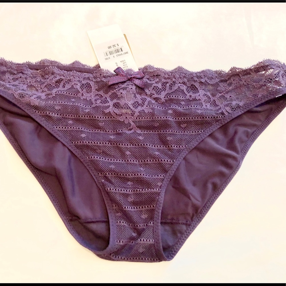 Chantelle voile bikini brief with lace trim